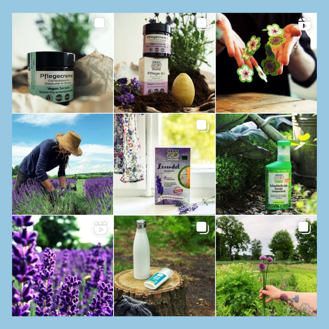 Ein Ausschnitt eines Instagram Feeds mit verschiedenen Produkten, Lavendel und Natur.